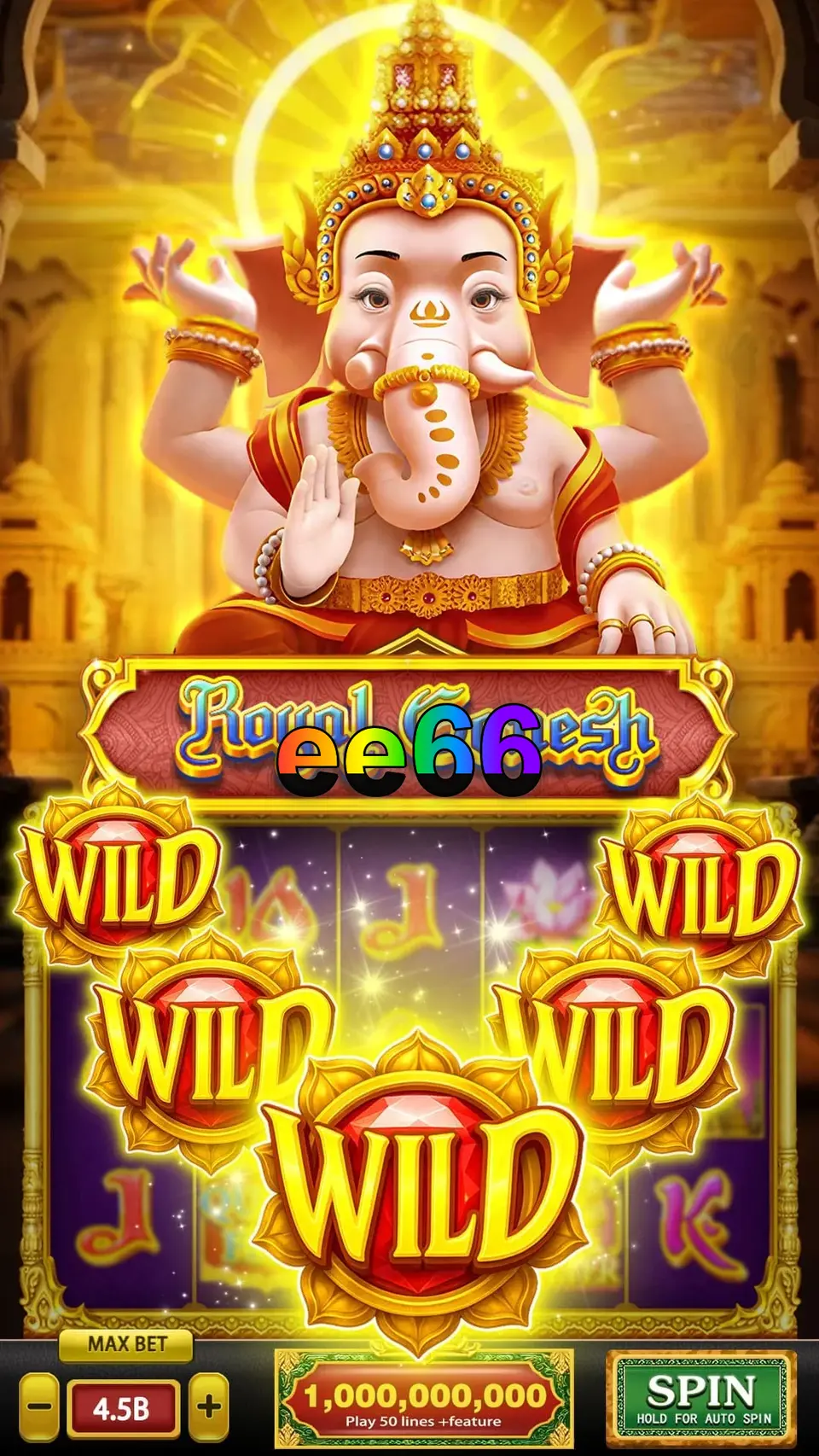 ee66 Login